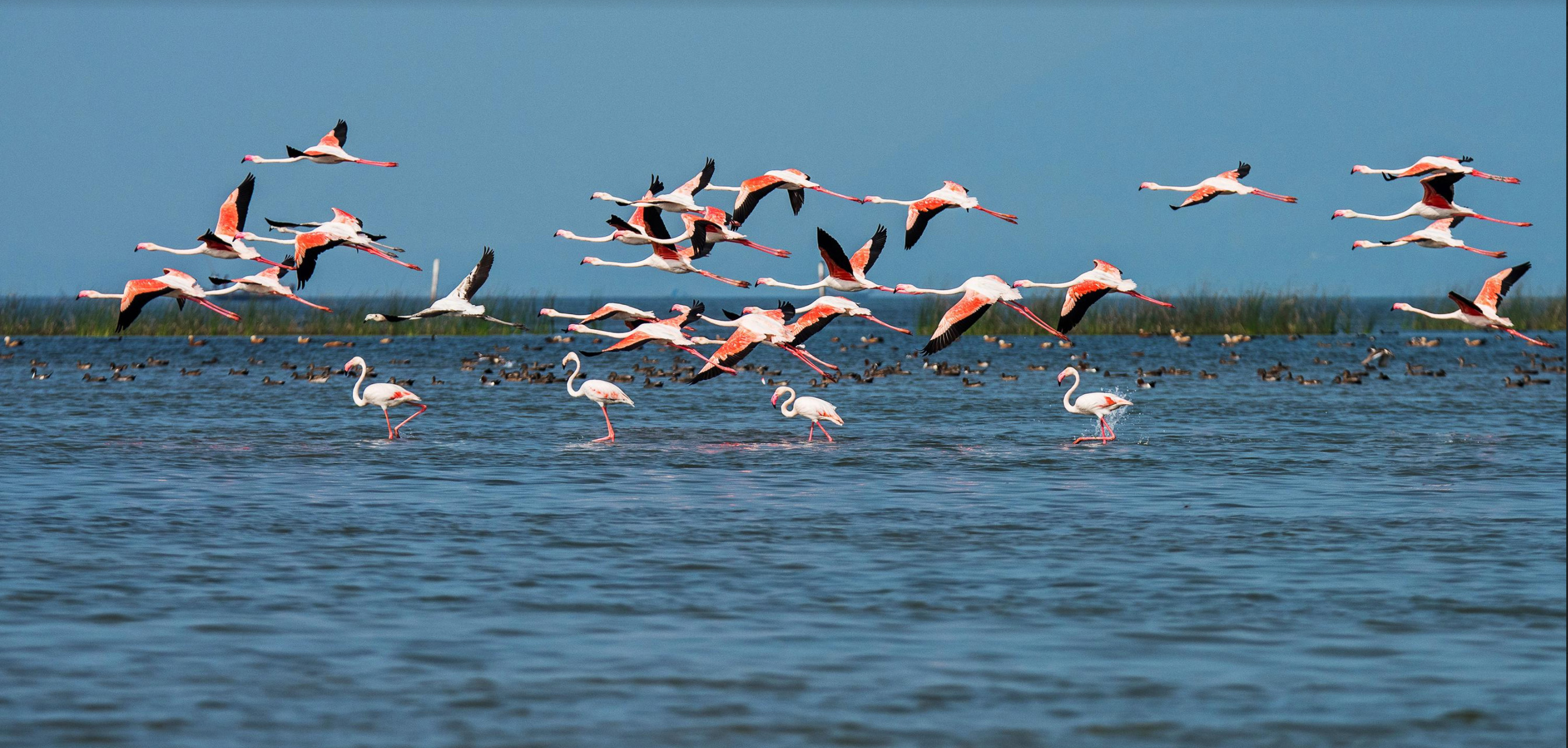 Bhubaneswar - Chilika Lake